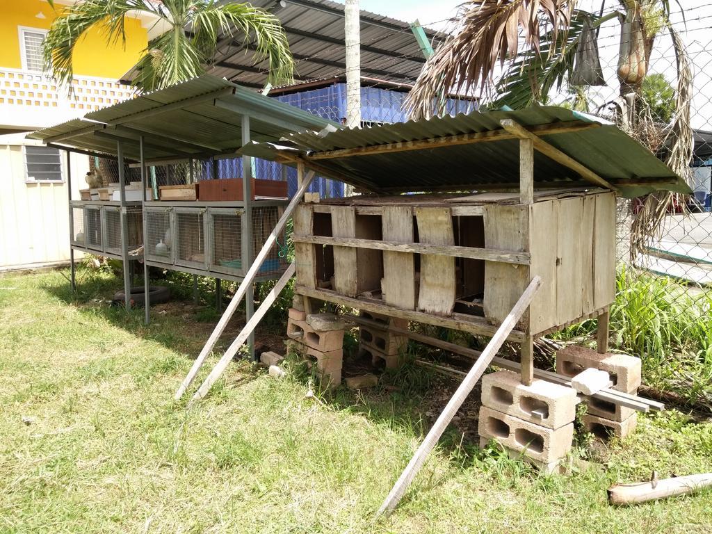 Harum Manis Country House カンガー エクステリア 写真